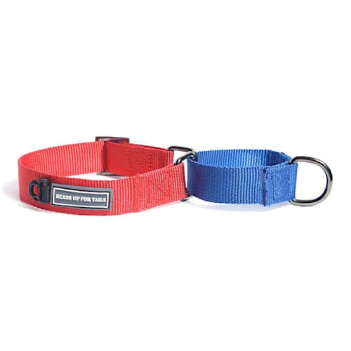 Heads Up For Tails Adjustable Martingale Collar Product Thumbnail 0