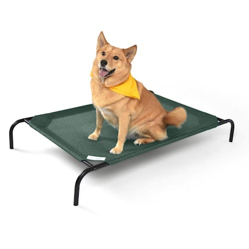 Lit pour Animaux de Compagnie Coolaroo Surélevé avec Tissu Recyclable Product Thumbnail 0