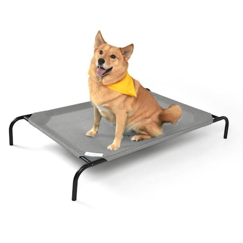 Coolaroo Elevated Pet Bed for Dogs and Cats Product Thumbnail 0