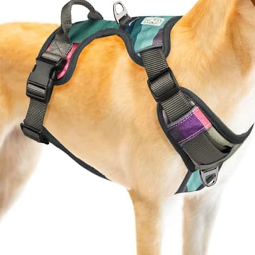 Embark Pets Urban Dog Harness with Leash Clips Product Thumbnail 0
