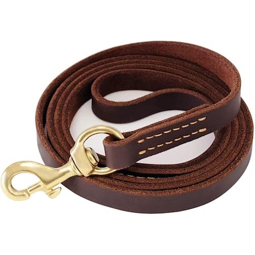 Laisse d'entraînement pour chien en cuir Fairwin Heavy Duty Product Thumbnail 0