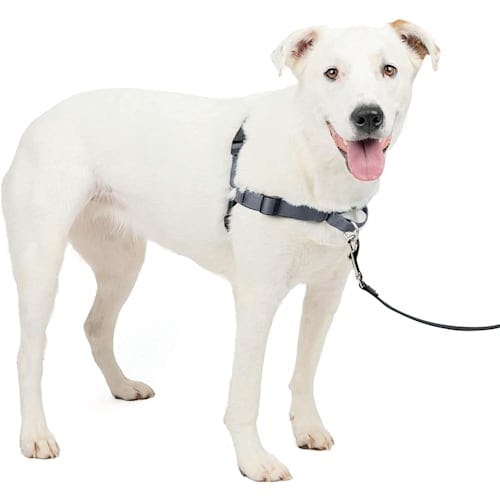 PetSafe Deluxe Easy Walk Night Safety Harness Product Thumbnail 0