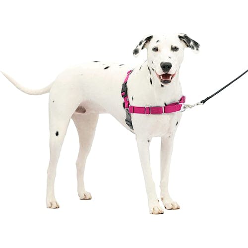 Petsafe Gentle Walk Harness for Dogs Product Thumbnail 0