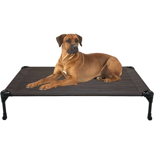 VEEHOO Cooling Elevated Dog Bed with Mesh Product Thumbnail 0