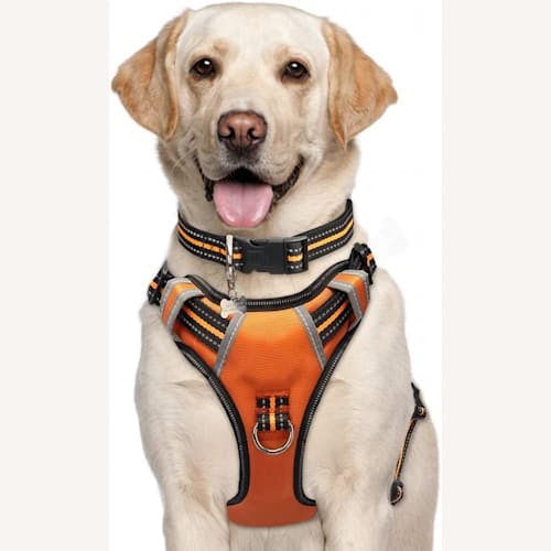 WINSEE Adjustable Reflective Oxford Dog Harness Product Thumbnail 0