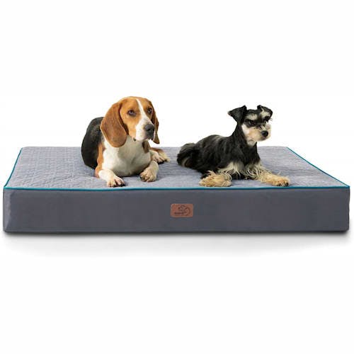 Bedsure Orthopedic Gel Memory Foam Dog Bed Product Thumbnail 0