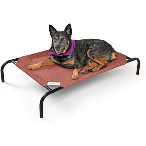 Coolaroo Original Elevated Cooling Dog Bed Product Thumbnail 0