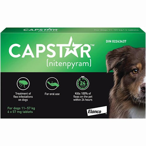 Capstar Quick Acting Oral Flea Treatment for Dogs Product Thumbnail 0