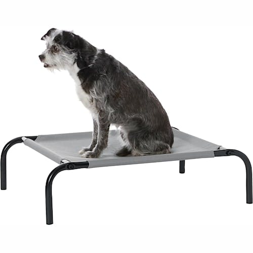 Amazon Basics Elevated Pet Bed Product Thumbnail 0