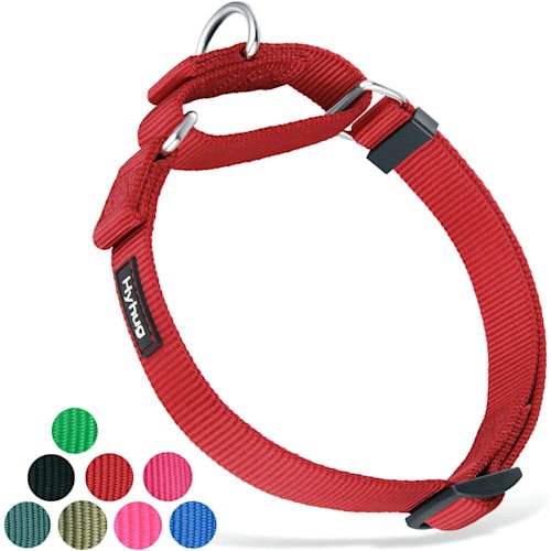 Hyhug Martingale NonEscape Dog Collar Product Thumbnail 0