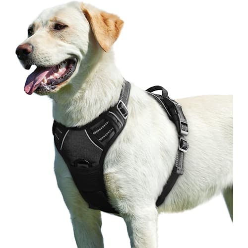 Eagloo Adjustable No Pull Soft Padded Dog Harness Product Thumbnail 0
