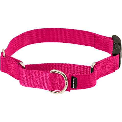 PetSafe Martingale Collar with Quick Snap Buckle Product Thumbnail 0