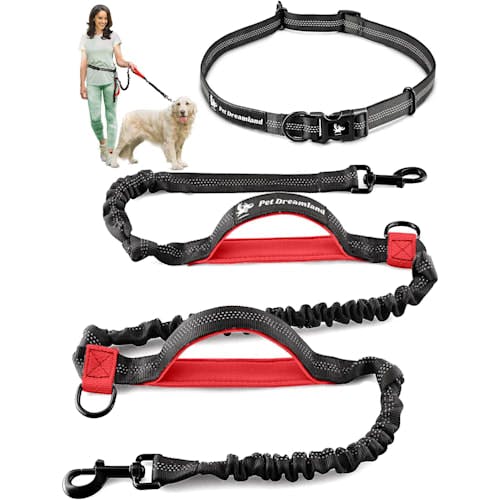 Pet Dreamland Hands-Free Bungee Dog Leash Product Thumbnail 0