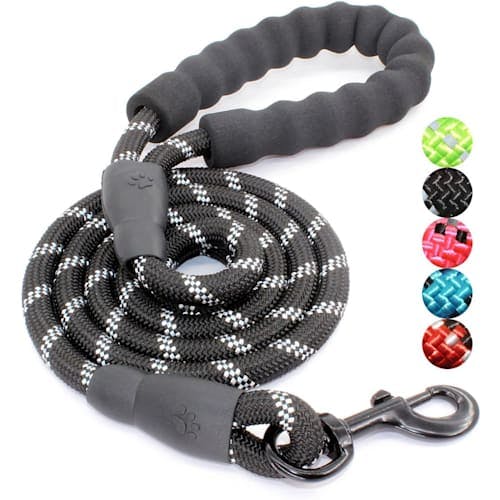 BAAPET Padded Handle Reflective Nylon Dog Leash Product Thumbnail 0