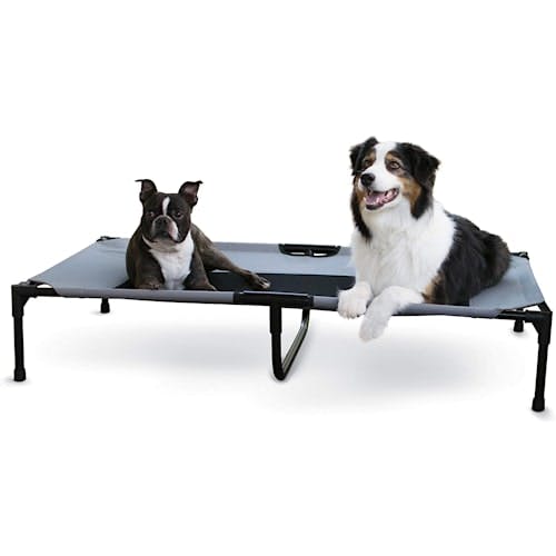 K&H Pet Cooling Elevated Washable Dog Bed Product Thumbnail 0