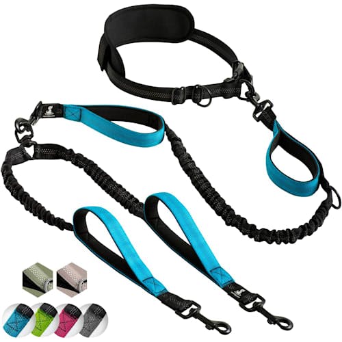 SparklyPets Weather Resistant Hands-Free Leash Product Thumbnail 0