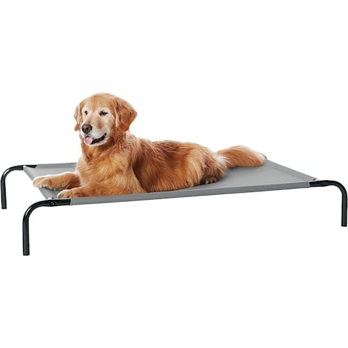 Amazon Basics Cooling Elevated Pet Bed Product Thumbnail 0
