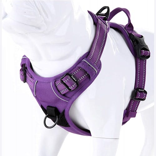 MOKCCI Truelove Reflective No Pull Dog Harness Product Thumbnail 0