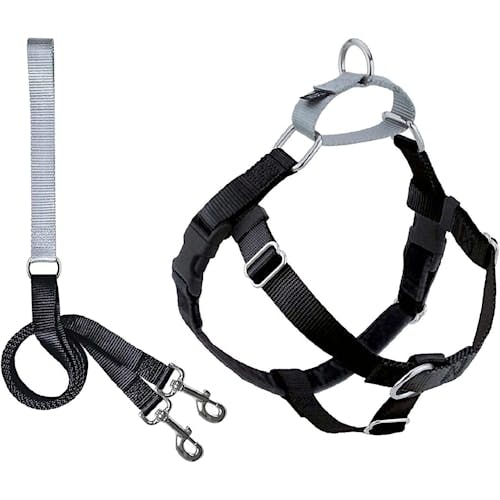 2 Hounds Design No Pull Dog Harness with Leash Product Thumbnail 0