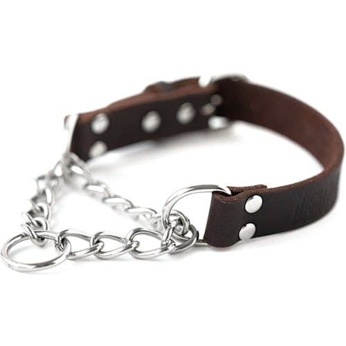 Mighty Paw Leather Martingale Training Dog Collar Product Thumbnail 0