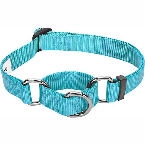Blueberry Pet Essentials Training Dog Collar Product Thumbnail 0
