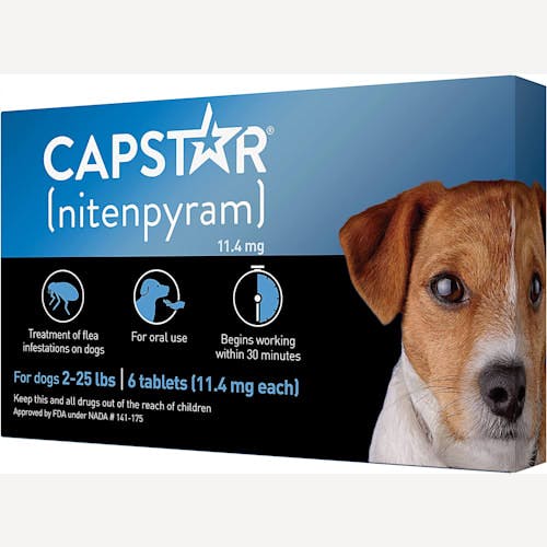 Capstar Fast Acting Oral Flea Treatment for Pets Product Thumbnail 0