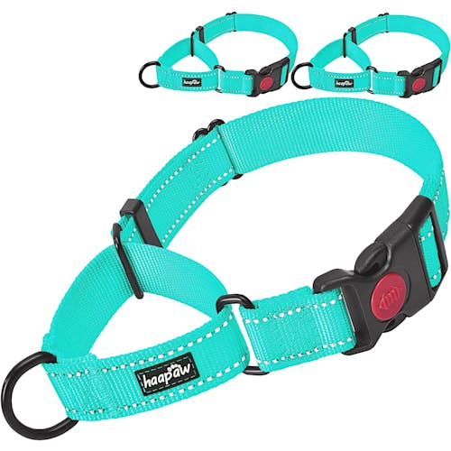 Haapaw Quick Release Reflective Martingale Collar Product Thumbnail 0