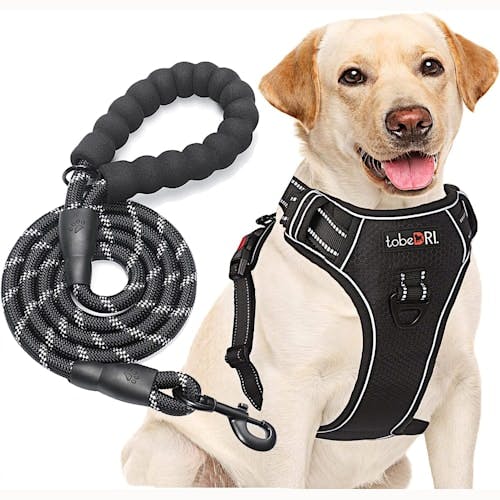 tobeDRI No Pull Adjustable Dog Harness with Leash Product Thumbnail 0