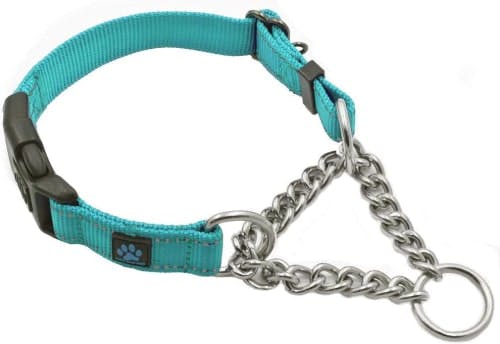 Max and Neo Steel Chain Collar review