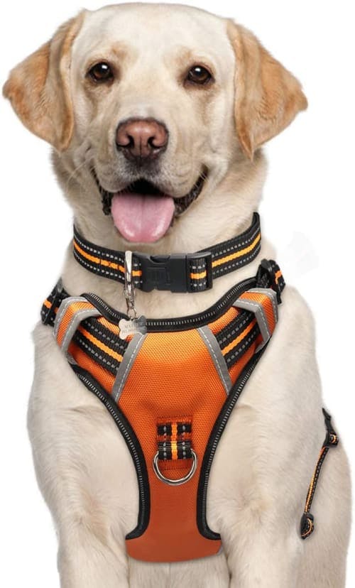 WINSEE Adjustable Reflective Oxford Dog Harness review