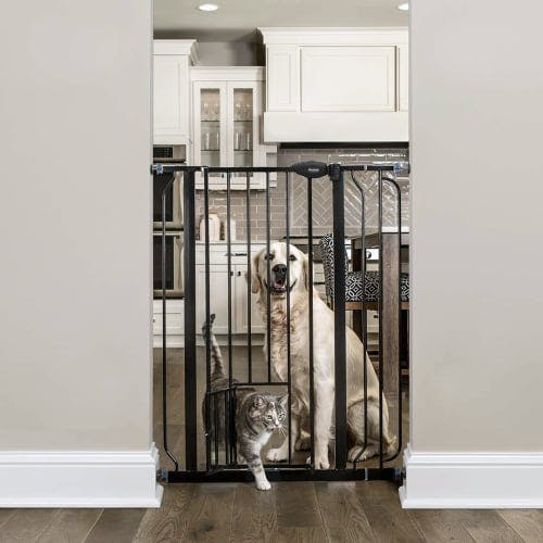 Carlson Extra Tall Dog Gate with Small Door review