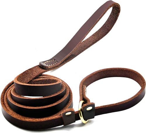 Wellbro Leather Adjustable Slip Lead for Dogs review