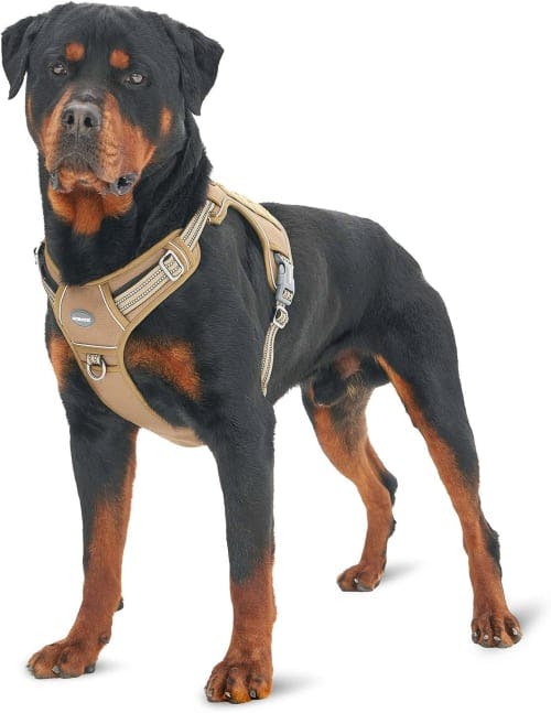 Auroth Tactical No Pull Pet Harness review