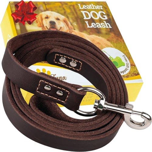 ADITYNA Leather Leash for Medium and Large Dogs review