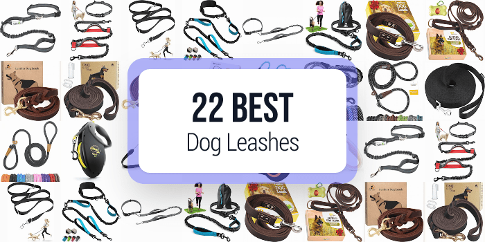 best dog leashes