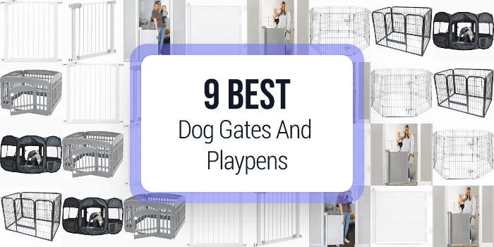 best dog gates and playpens