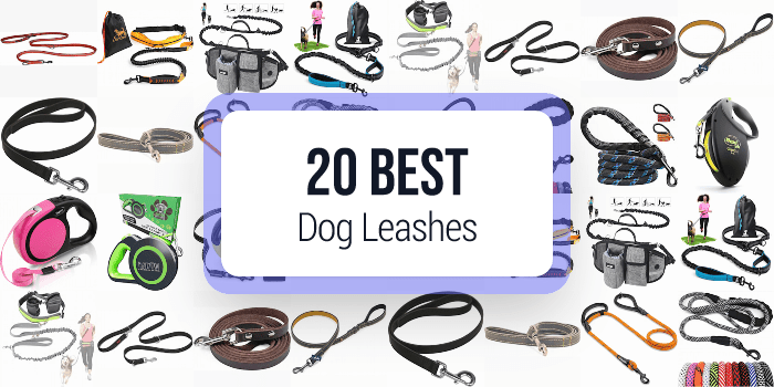 best dog leashes