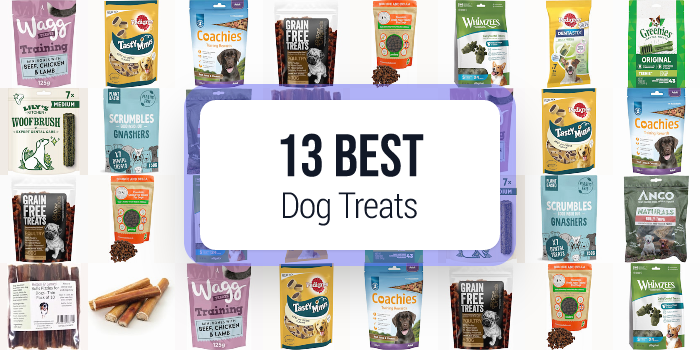 best dog treats