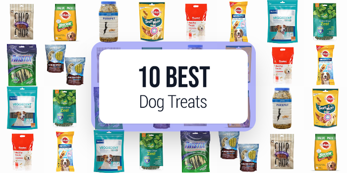 best dog treats