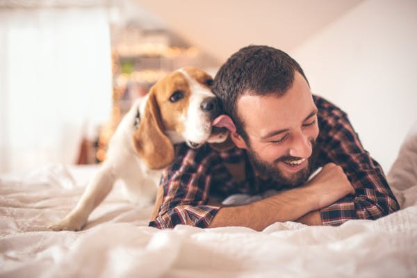 Cómo entrenar a tu perro con elogios y afecto