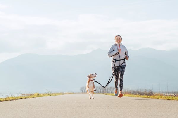 Exploring the Pros and Cons of Hands-Free Dog Leashes